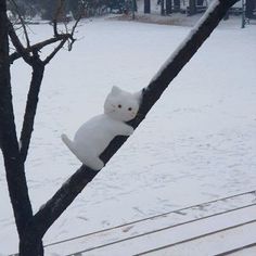 a white cat sitting on top of a tree branch in the middle of a snow covered field