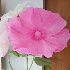 two large pink and white flowers in a vase