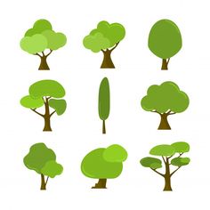 different types of trees on a white background