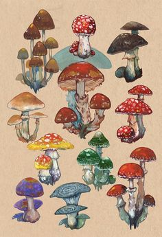 a group of different colored mushrooms sitting on top of each other