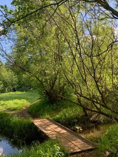 a small wooden bridge over a stream in the woods with grass and trees around it