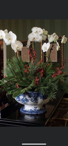 Simon Pearce Christmas Trees Display, Orchid Christmas Centerpiece, Christmas Orchid Arrangements, Poinsettia Arrangement, Round Coffee Table Decor, Kurt Adler Christmas, Poinsettia Centerpiece, Holiday Flower Arrangements, House Of York