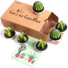 PRICES MAY VARY. 🌵🌵【NON-SPILLING DESIGNED】1.6" dia cactus tealight candles in metal tealight holders , each cactus part candle steady burning more than 60 mins ,each candle can steady burning to 4-5 hours with Non-spilling mental holder ,can be re-lighted many times at your convenience. Succulent Candles Cactus Candle. 🌵🌵【SIZE】Standard tealight size, each candle size: 1.57" Dia x 1.57" H ,3 different styles, 6 pcs cactus candles included. house warming present for woman. Christmas Gift Candl Bathroom Remodel Wallpaper, Last Trail Before The Veil, Candle Bridal Shower Favors, Bathroom Finds, Christmas Cactus Plant, Cactus Candles, Succulents Candles, Baby Succulents, Succulent Favors