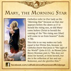 an image of mary, the morning star with caption from st anthony's book