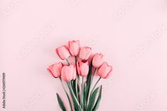 pink tulips are arranged in a vase against a light pink wall with green leaves