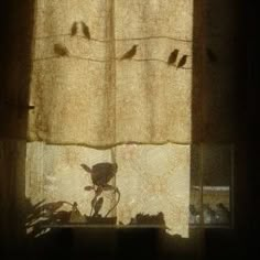 birds are sitting on the window sill in front of the curtain, and one bird is perched on the rod