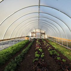 the inside of a large greenhouse with many plants growing in it's ground level