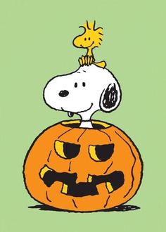 a cartoon dog sitting on top of a pumpkin