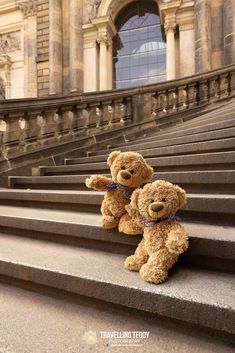 two teddy bears are sitting on some steps