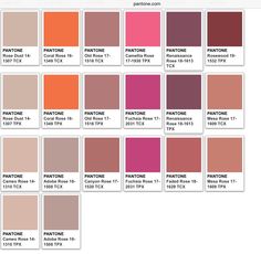 the pantone color chart with all different shades and colors to choose from in each section