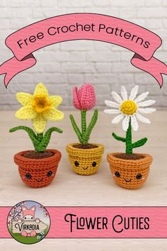 three crocheted flower pots with flowers in them and the words free crochet patterns