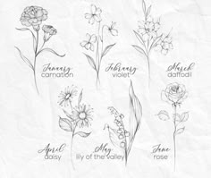 some flowers are drawn on paper with the names of them in black and white ink