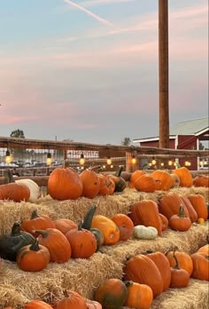 many pumpkins are stacked on hay bales