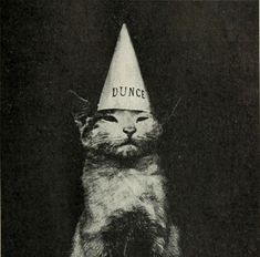 a black and white photo of a cat wearing a hat with the word dunce written on it