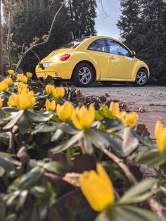 a yellow car parked in front of some flowers