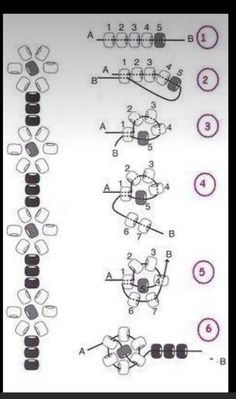 the diagram shows an arrangement of different parts