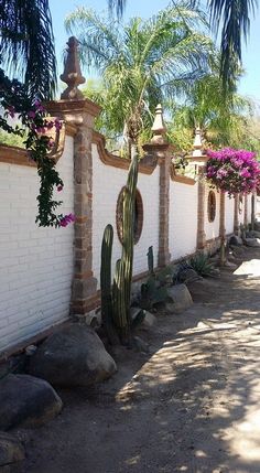 a white brick wall with cactus and flowers growing on the top, along side it