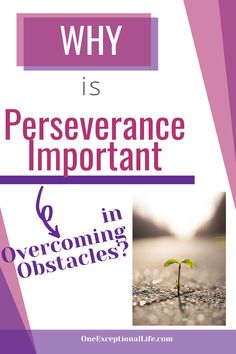 a book cover with the title why is perseverance important? in overcoming obstacles?