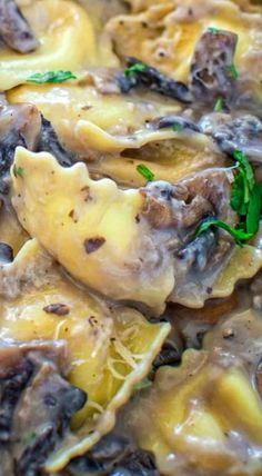 pasta with mushrooms and cheese in a white sauce