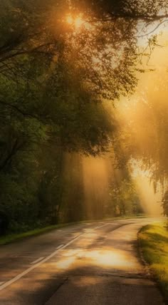 the sun is shining through the trees on this road