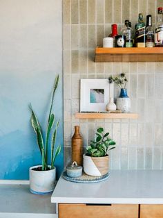 a kitchen counter with some plants and bottles on the shelf above it in front of a tiled wall