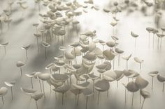 a bunch of small white flowers sitting on top of a table next to each other