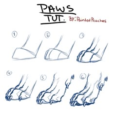 the steps to drawing paws are easy and fun