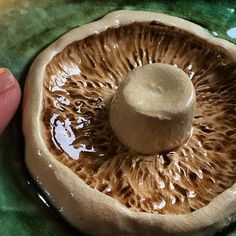 a close up of a mushroom on a plate