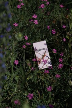 a book sitting in the middle of some purple and white flowers, surrounded by green grass