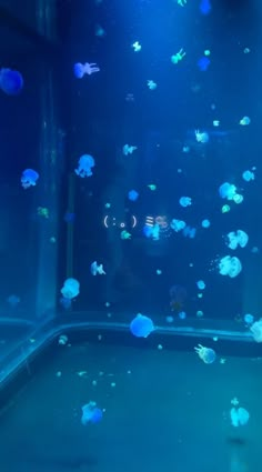 an aquarium filled with lots of blue and white jellyfish swimming in it's tank