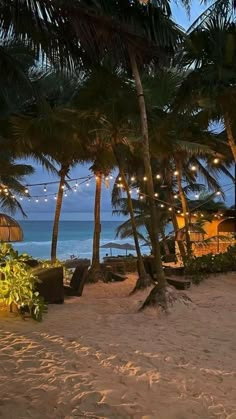 the beach is lined with palm trees and lights strung over it's sand area