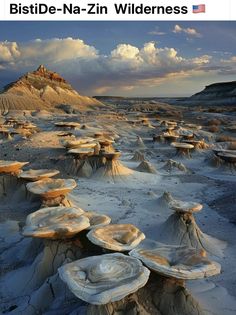 the desert is covered in many different types of rocks