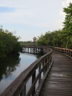 a wooden bridge over a body of water with trees on both sides and a tower in the distance