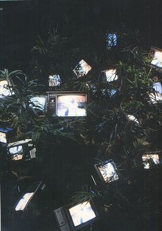 there are many televisions that are in the tree