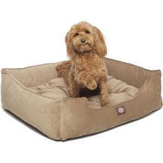 a brown dog sitting on top of a pet bed