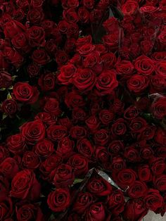 a large bouquet of red roses is shown