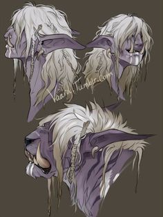 three different angles of an animal's head, one with long hair and the other with