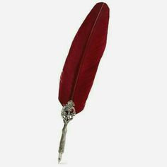 a red feather quill on a white background