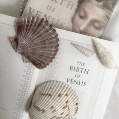 the birth of venus is displayed on top of an open book with seashells