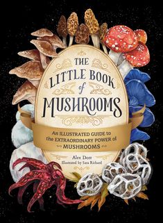 the little book of mushrooms an illustrated guide to the extraordinary world of mushrooms