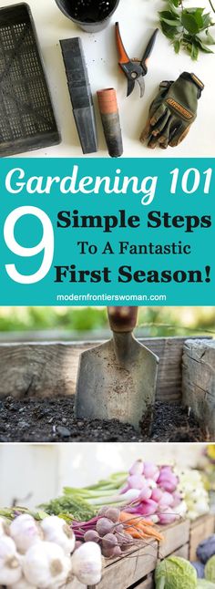 gardening 101 simple steps to a fantastic first season