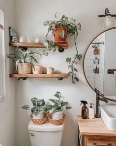 a bathroom with two plants on the shelves above the toilet