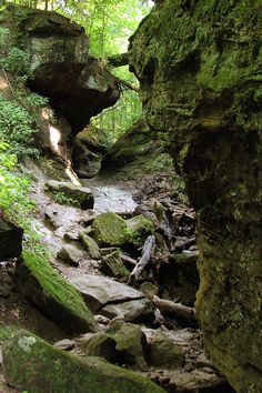 there is a small stream running between two large rocks in the middle of the woods