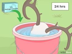 a pink bucket filled with water and antlers sticking out of it