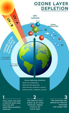 an info poster showing the different types of water and how they are used to make it