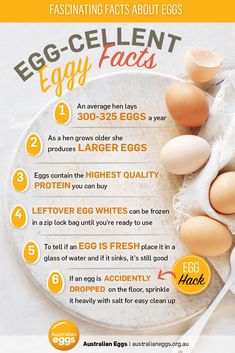 6 interesting egg facts. Eggs-cellent egg facts | myfoodbook | Food Stories Egg Nutrition Facts, Budget Dinners, Health Benefits Of Eggs, Egg Benefits, Food Health Benefits, Dinner On A Budget