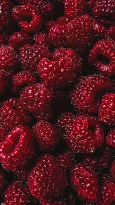 many red raspberries are piled together