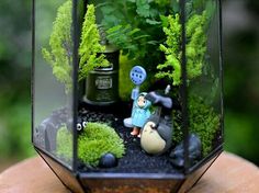 a small glass box with plants in it