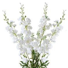 white flowers are in a glass vase with water on the bottom and green stems to the side