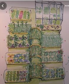 a drawing of a garden wall with flowers and plants in the bottom row, on top of each other